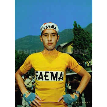 Eddie Merckx fotokaart 1969 reproductie